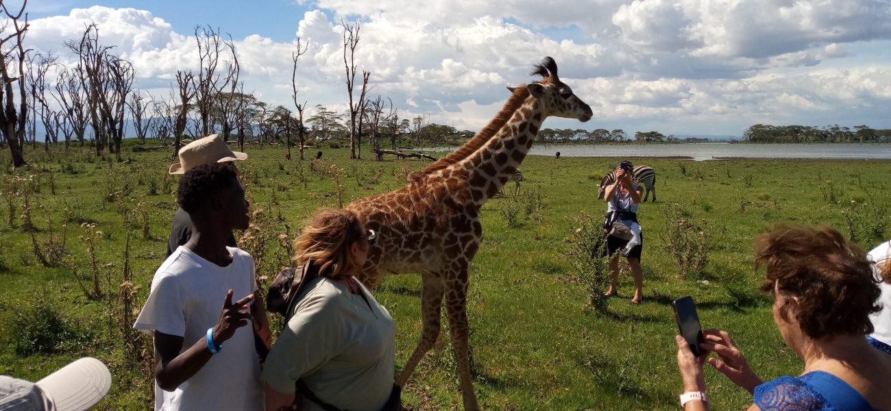 IMG_20231015_150310_987