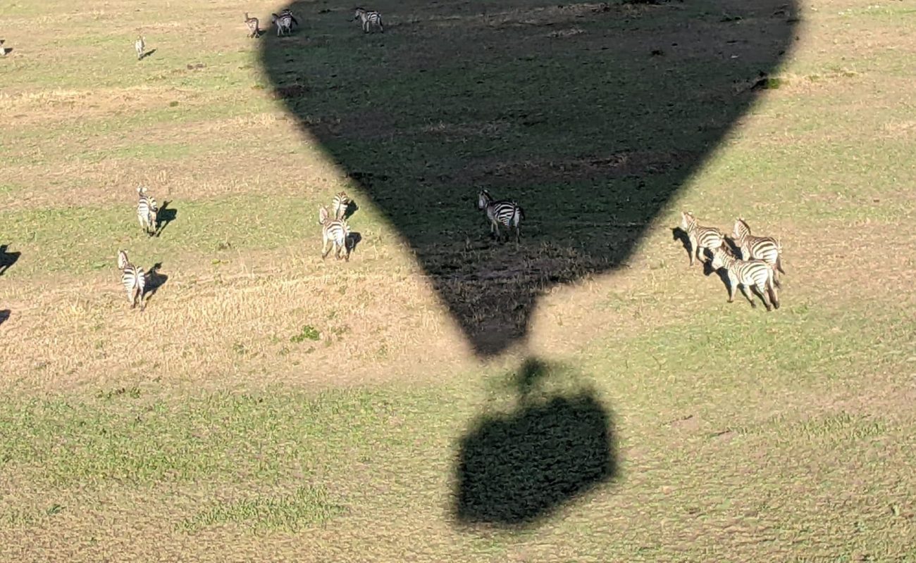 WhatsApp Image 2024-04-29 at 10.57.50 AM